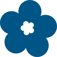 �����ȥ�åȡ�����