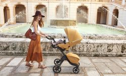 �������ץ����꡼���å���